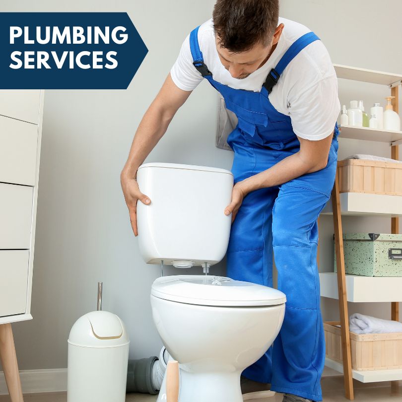 Plumbing Company in Woodridge, IL